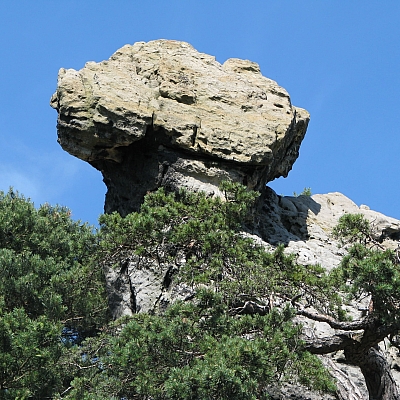 Die Felsformation Hockendes Weib in den Dörenther Klippen