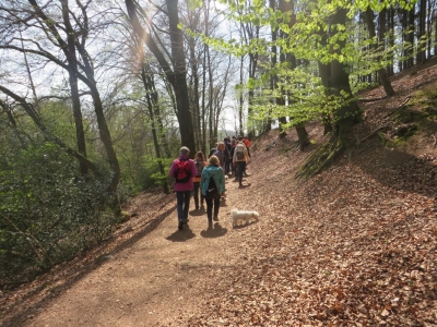 Eine Gruppe Wanderer laufen im Wald