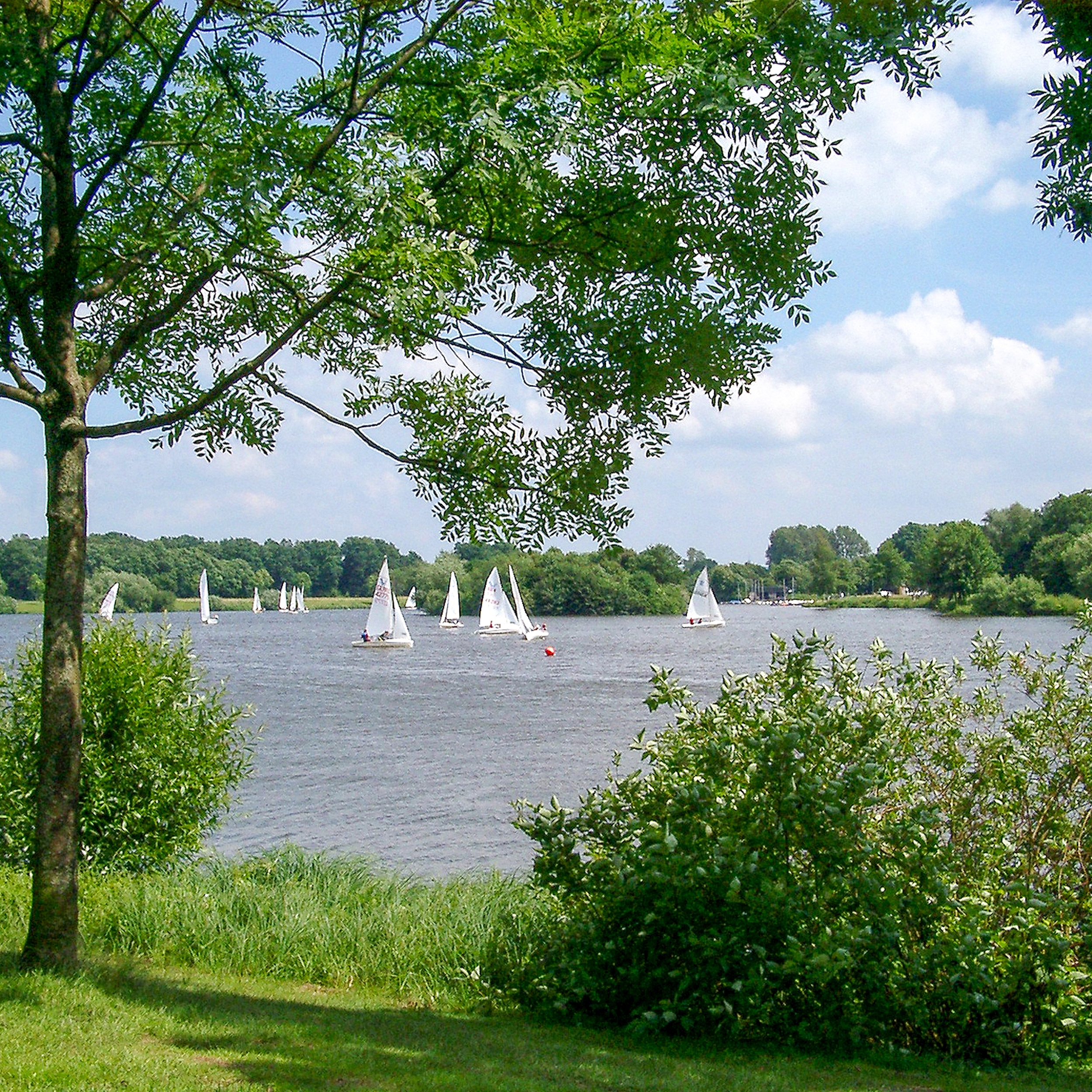 Segeln auf dem Aasee