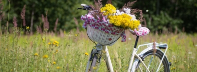 Weißes Fahrrad steht auf einer Wiese. Das Fahrrad hat vorne einen bunt geschmückten Korb mit Blumen.