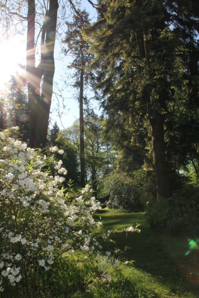 Botanischer Garten Loismann