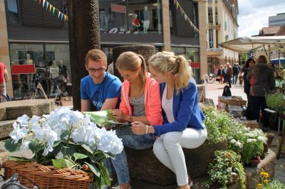 Ibbenbüren Innenstadt, Oberer Markt